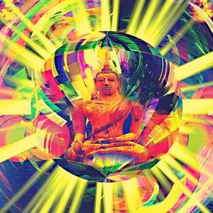 Meet your Posher, Brenna